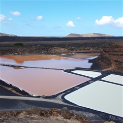 Ontdek de prachtige zoutvlakten van Lanzarote